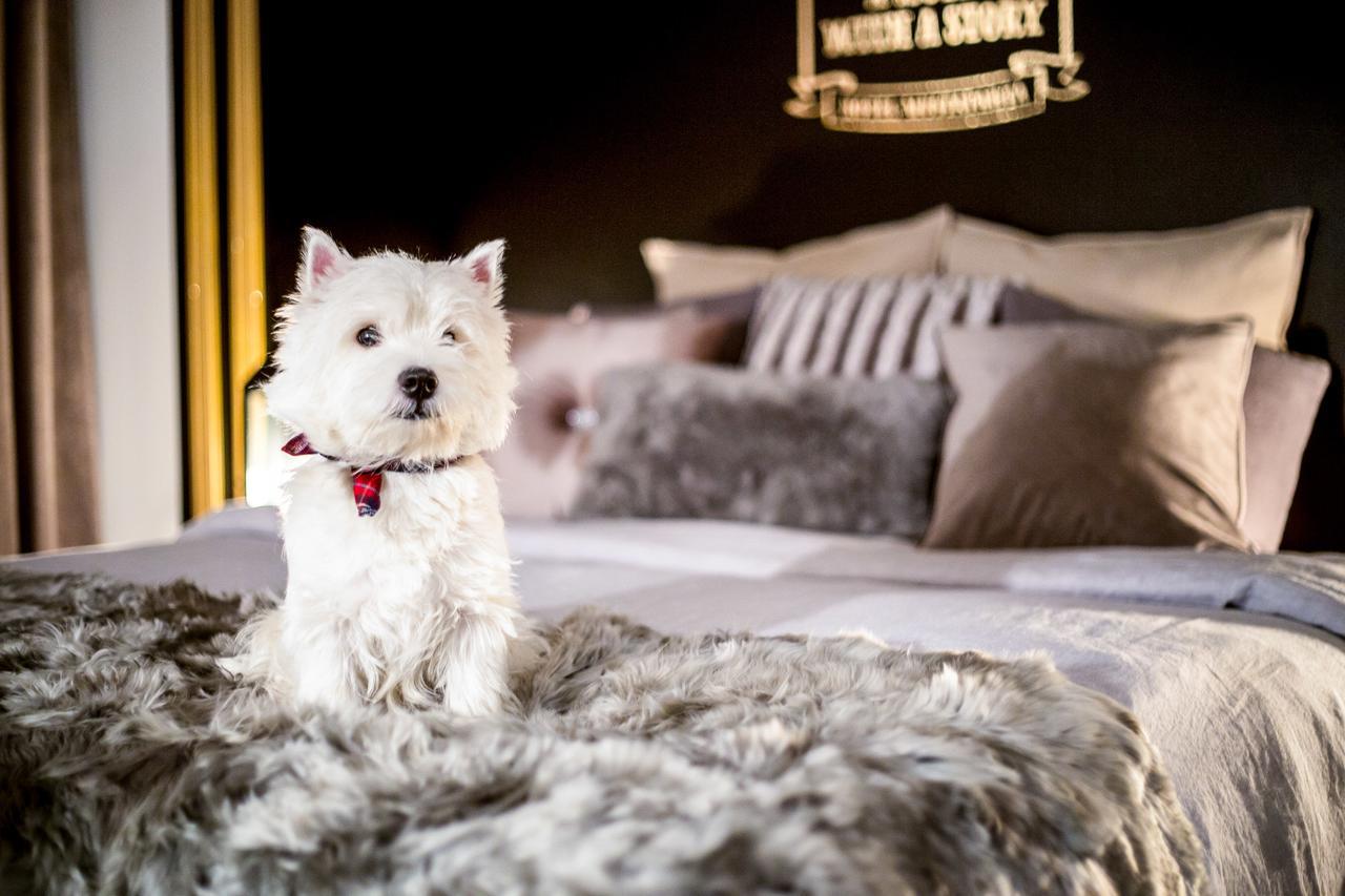 Boutique Hotel Mustaparta ตอร์นีโอ ภายนอก รูปภาพ